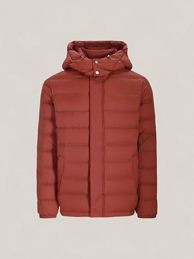 POMARAŃCZOWA KURTKA DIXON